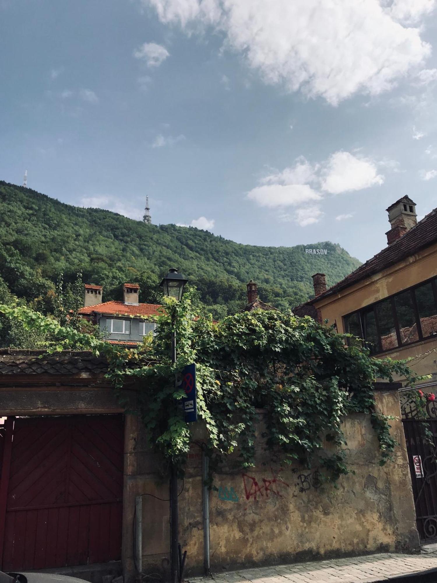 Lovely Brasov Flat With Patio And Mountain Views Zewnętrze zdjęcie